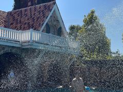 -大连罗马假日酒店温泉