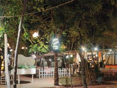 -陶缘一号·四季缘·老字号顺德菜·户外婚礼家宴(西滘店)