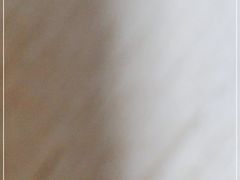 -西贝(金桥店)