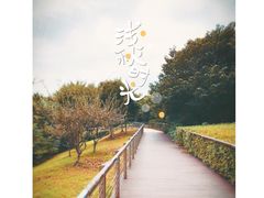 -羊山湖公园