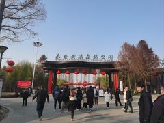 -黄海国家森林公园