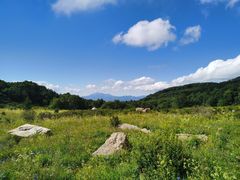 -白草畔自然风景区