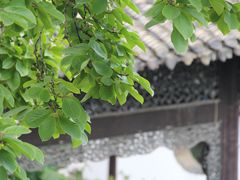-何园
