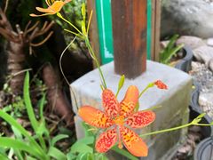 -天芳悦潭度假村温泉