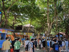 -海南分界洲岛旅游区