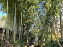 -乌石村