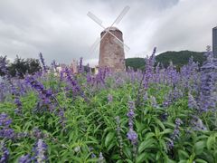 -玫瑰海岸文化旅游度假区