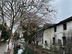 -鱼食饭稻·苏浙土菜17年老馆子(平江路店)