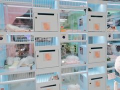 -FAELING PETS美天灵宠物(合生汇店)