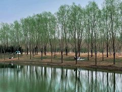 -东郊湿地公园