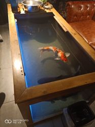 -鳌首刺青纹身 穿孔饰品店