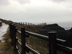 -涉地可支