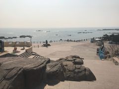 -齐海鱼圣深海石斑鱼火锅店(极地海洋世界店)