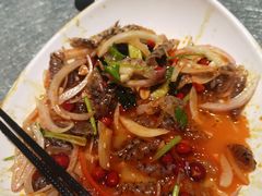 -老伙记海鲜码头(北滘店)