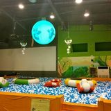 🙈今日份—溜娃圣地！🙈 