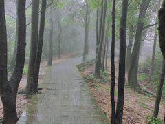 -火炉山森林公园