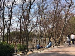 -宝安西湾红树林湿地公园