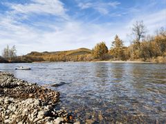 -莫尔道嘎国家森林公园