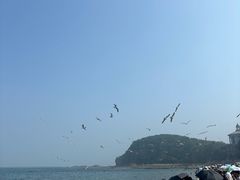 -棒棰岛宾馆景区