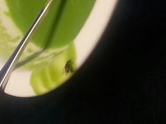 android_upload_pic-同忆餐厅(莫干山路店)