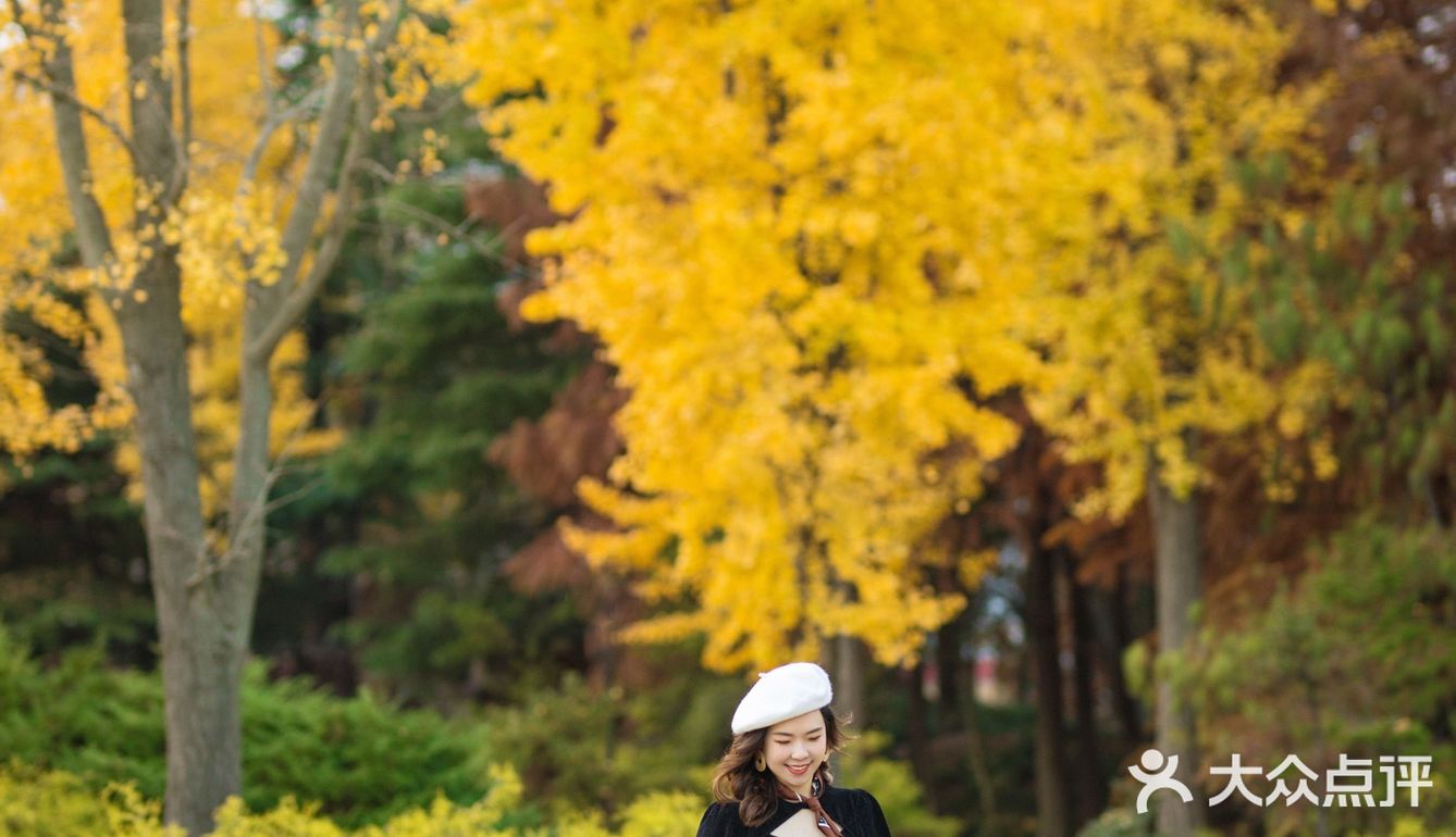 上海这片像身处国外公园的银杏林，竟如此的美🍂