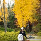上海这片像身处国外公园的银杏林，竟如此的美🍂