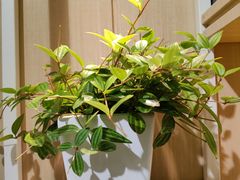 -好利来(紫竹院店)