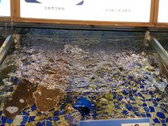 -雅盛品931海鲜酒家