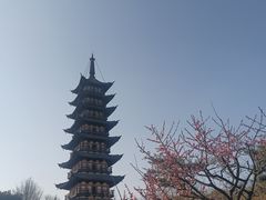 -上海方塔园