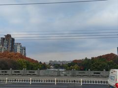 -小河无名面馆