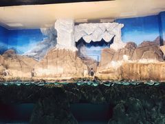 -成都浩海立方海洋公园