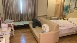 -生命加•Q考拉月子会所(玫瑰园店)