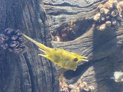 -福州罗源湾海洋世界旅游区