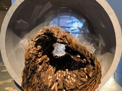 -上海当代艺术博物馆