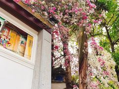 -深圳国际园林花卉博览园