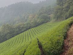 -敬亭山风景名胜区