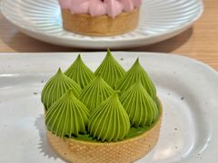 抹茶挞-猫里有甜