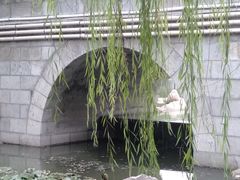 -莲湖公园