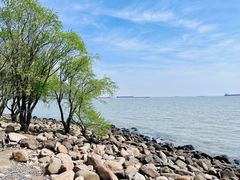 -上海吴淞炮台湾国家湿地公园