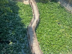 -终南山南五台景区