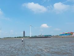 -奉贤海滩