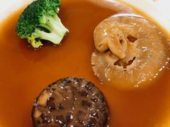 鱼翅-寻味顺德·南记酒家·传统顺德菜·鱼生(广源路店)