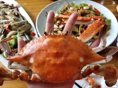 -渔家小院观海海肠捞饭地方菜(环海中路店)