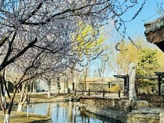 -春风习习