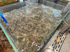 -半岛听涛蒸汽海鲜自助(K11店)