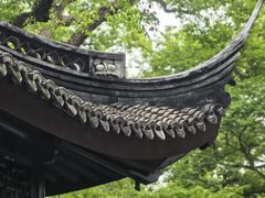 -上海醉白池公园