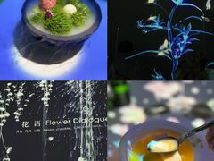 -良设夜宴 LIANGSHE