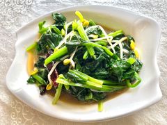上汤菠菜-那达慕蒙古风味酒楼