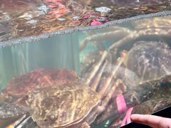 -永辉超市(郫都区爱琴海店)