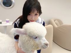 -怪兽屋·羊驼·猫咖·狗咖(俊华广场店)